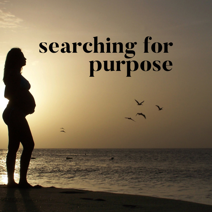 Searching for Purpose